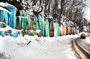 This Week in Photos (01/25 - 01/31)